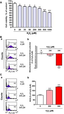 Oxidative Stress Regulated Iron Regulatory Protein IRP2 Through FBXL5-Mediated Ubiquitination-Proteasome Way in SH-SY5Y Cells